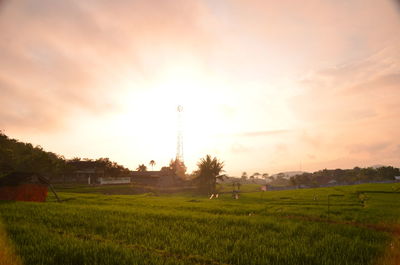 Scenic view of field against sky during sunset