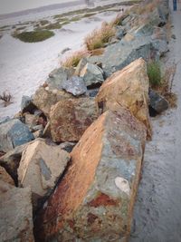 Scenic view of beach