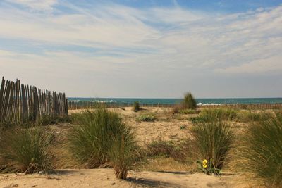 Scenic view of beach against sky