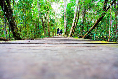 People walking on road in forest