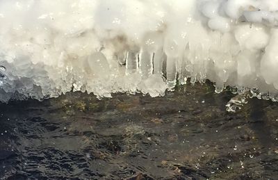 Close-up of water drops on rainy day