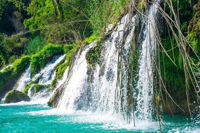 Scenic view of waterfall in forest