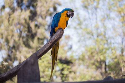 Bird perching on a branch