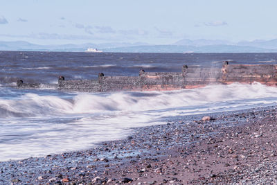 Group of people on beach