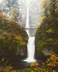 Scenic view of waterfall against trees