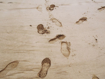 High angle view of footprints on sand