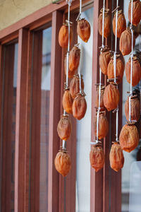 Low angle view of fruits hanging in row