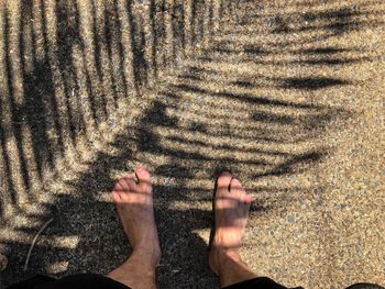 Low section of person standing on sand