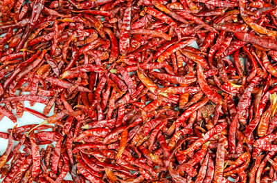 Directly above shot of red chili peppers for sale at market stall