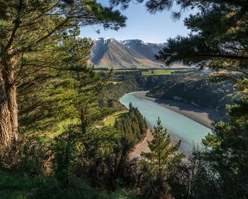 Scenic view of lake by trees in forest against sky