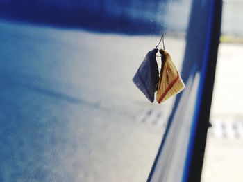 Close-up of clothes hanging against the sky