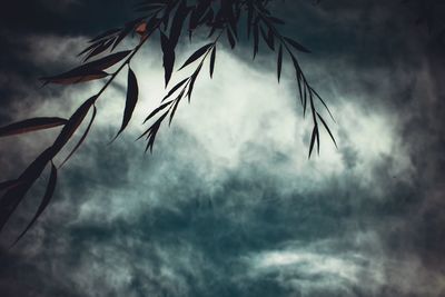 Low angle view of silhouette trees against sky at dusk