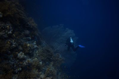 Man swimming in sea