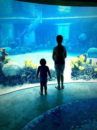 Full length rear view of silhouette men swimming in aquarium