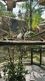 Built structure with trees in background