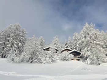 winter