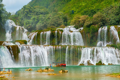 Scenic view of waterfall in forest