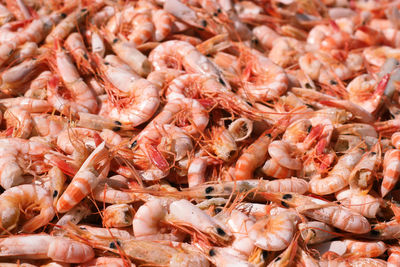 Full frame shot of prawns
