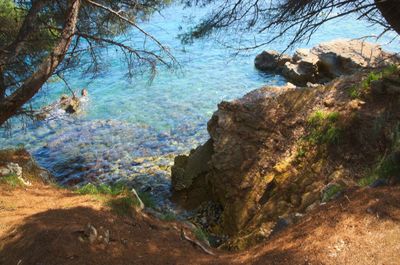 Rocks in river