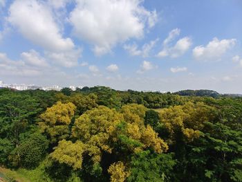 Scenic view of trees against sky
