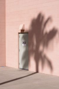 Pine tree shadow on wall of building