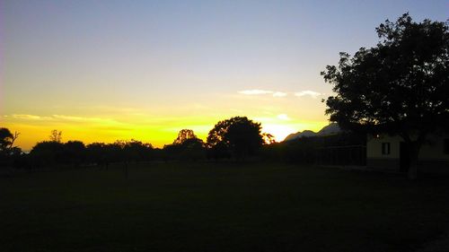 Silhouette trees on field against sky at sunset