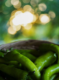 Close-up of green chili peppers