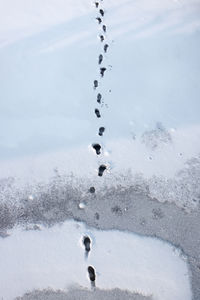 Human traces in the white snow, a view from above