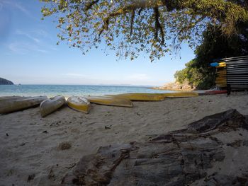 Scenic view of beach against sky