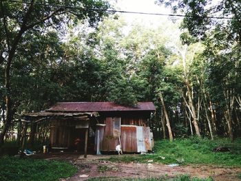 Abandoned house amidst trees on field in forest