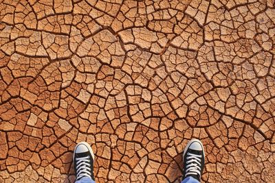 Low section of man standing on barren field