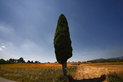 Scenic view of land against sky