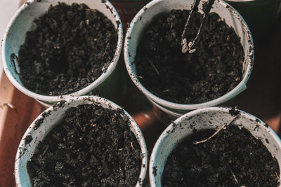 High angle view of potted plant