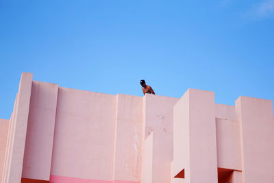 Low angle view of man against building against clear blue sky