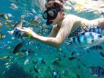 Woman snorkeling amidst fishes undersea