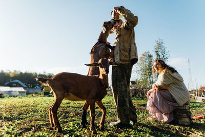 A man with a beard on small farm feeds nubian goats on sunny, peaceful day