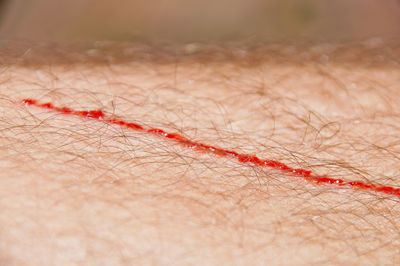 Macro shot of human hand