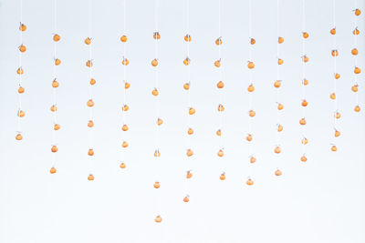 Close-up view of floral pattern