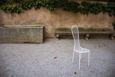 Empty chair against plants on wall