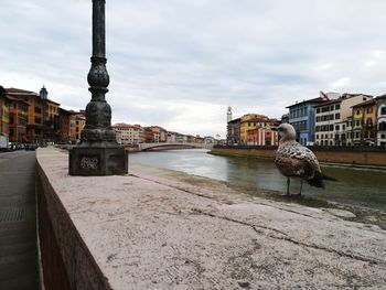 View of buildings by river