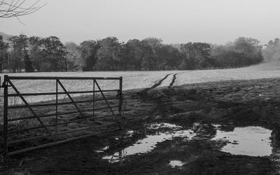 Scenic view of field against sky