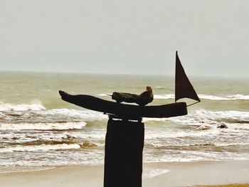 Rear view of man on beach against clear sky