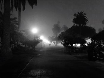 Silhouette trees against sky during sunset
