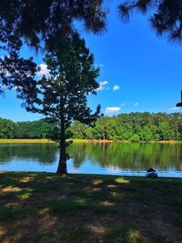 Scenic view of lake against blue sky