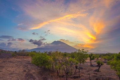 Scenic view of field against sky during sunset