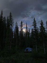 Scenic view of forest against cloudy sky