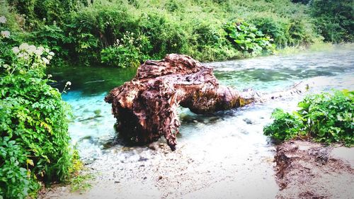 Scenic view of river