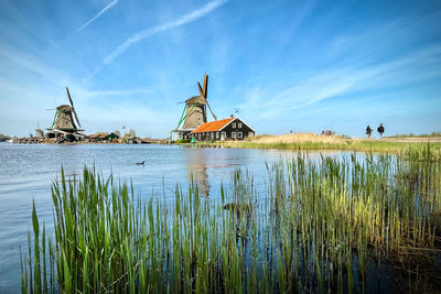 View of zaanse schans windmills