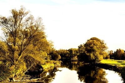 Reflection of trees in lake against sky