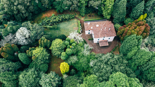 Drone aerial view of red roof tile house surrounded by trees